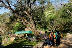Kumbakarai-Kodaikanal Trail 1/1 by Tripoto