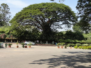 Road trip through South India