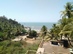 Holi 2k17 in Goa