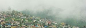 Kodaikanal:The gift of forest