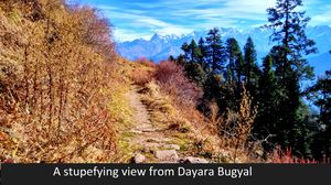 Dayara Bugyal Trek – Journey to the Nature’s Own Gardens !