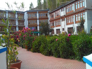 Orient guest house 1/1 by Tripoto