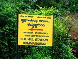 Trekking in Kemmangundi: 1434m above sea level