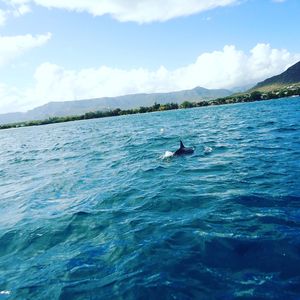 Beautiful Mauritius!