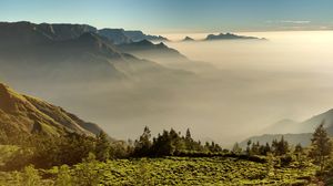 Kolukkumalai View Point 1/7 by Tripoto