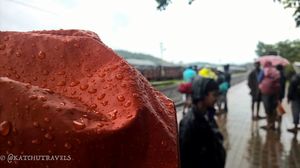 Jab We Met: The Goan Monsoon in a Rainforest!