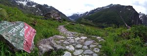 All alone in Valley of Flowers