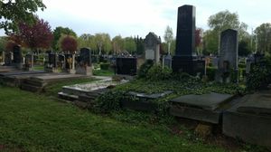 Exploring Vienna's Central Cemetery