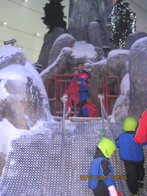 Top 5 things to do in Dubai