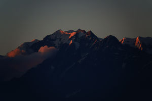 Wake up to the Majestic view of Himalayan peaks from Ojaswi Tea garden Resort