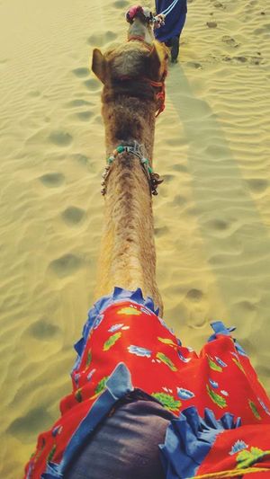 When two days weren't enough for us – Jaisalmer