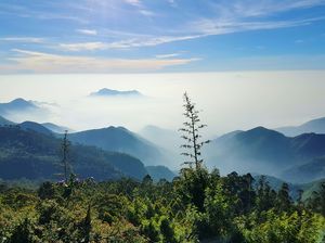 Enchanting Kodaikanal in Winter
