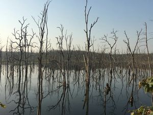 Serene beauty of Barnawapara