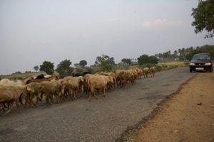 Mekedatu, Mahalli, Karnataka, India