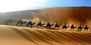 Jaisalmer to Tannot Mata