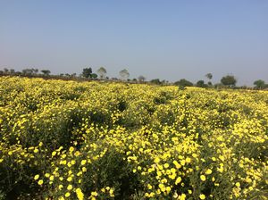 Nostalgia in Vikarabad-Ananthagiri Hill