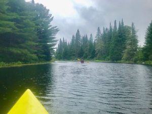 A close encounter with nature's abode