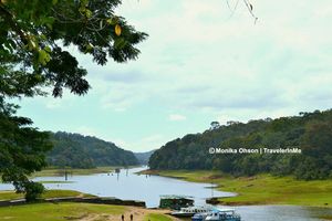 Thekkady, for the spice & wild