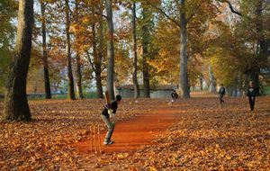 Nishat Garden 1/13 by Tripoto