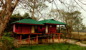 All Things Bright and Beautiful: Meghalaya