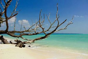 Girls week in Andaman