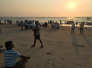 A Bottle Of Beer And Some Sea Food-Goa Here