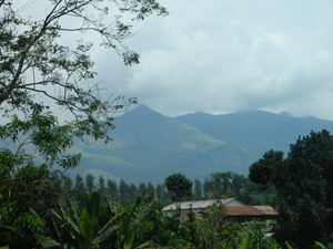 Wayanad & Ooty (India) - Come Fall in Love