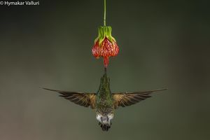 Ecuador - Heaven on Earth