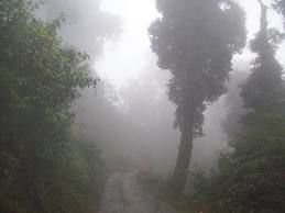 Backpacking through West Bengal