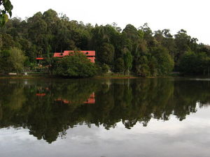 Kodaikanal Lake 1/11 by Tripoto