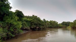 Road trip to Bhitarkanika National Park