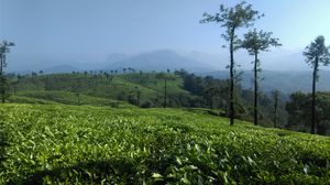 Destination - Valparai
