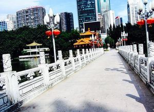 Some Work and Some Play in Shenzhen