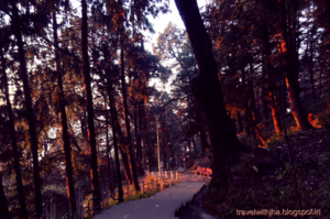 Jakhoo Road 1/1 by Tripoto