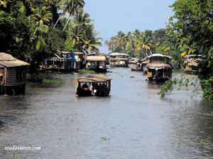 My Ultimate Guide To Kerala: Tips, Budget And Itineraries
