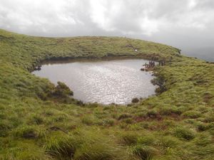 Wayanad - Refreshing Nature