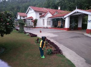 When the Blue Hills of Ooty...
