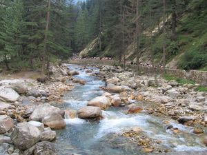 Say 'High' - Kasol