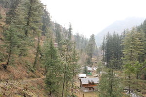 Weekend getaway: Shoja, Himachal Pradesh
