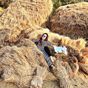 “Wild and Free” booster shots – 7 Top affordable camping picks (Mumbai Chapter)