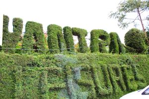 Best Way to Enjoy OOTY..Nilgiris
