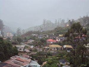 Munnar & Kochi - Rolling hills & Coastal Beauty