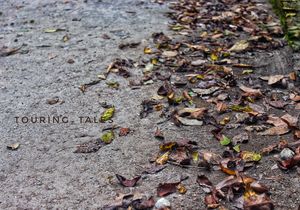 My Photo blog to Pangoot