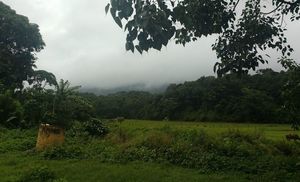 A smaller scotland and the epitome of glorious charm: Coorg!