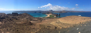 Galapagos On A Budget