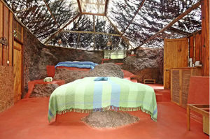 Always Searching For The Unusual : Take these 5 Unique AirBnb Experiences