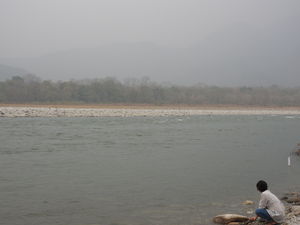 A Trip to Manas National Park