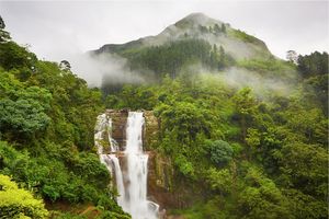 Places To Visit In Nuwara Eliya