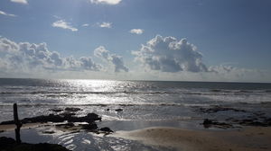 Goa- The Other Side