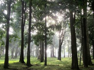 Getaway to Coorg